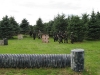 Sherwood Forest